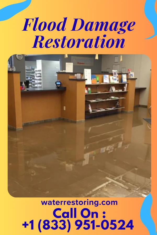 Flood Damage Restoration in Chilhowie, VA