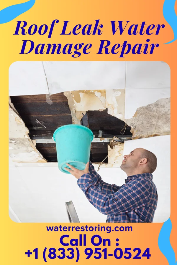 Roof Leak Water Damage Repair in Chilhowie, VA