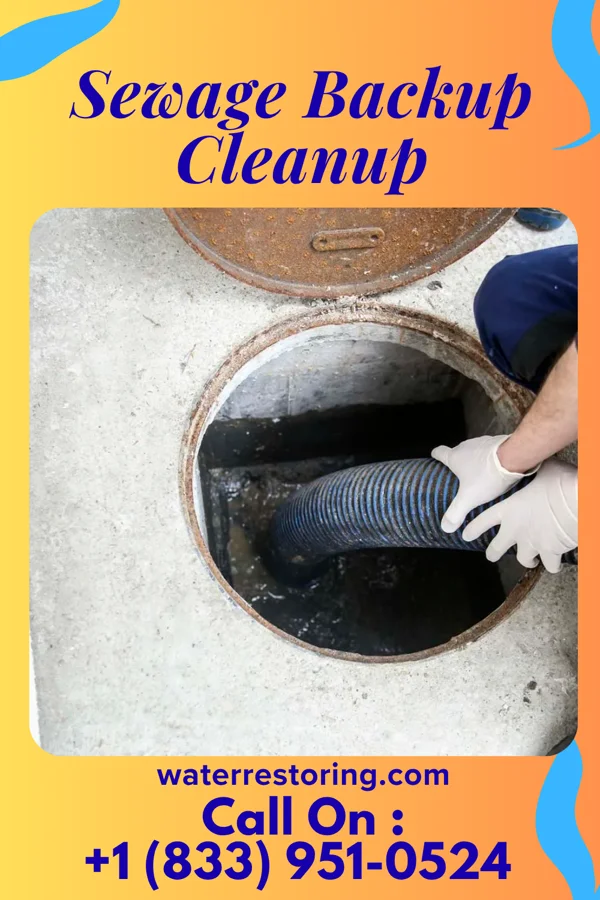 Sewage Backup Cleanup in Chilhowie, VA