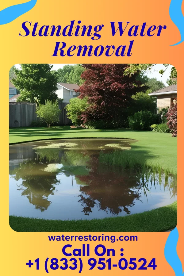 Standing Water Removal in Chilhowie, VA